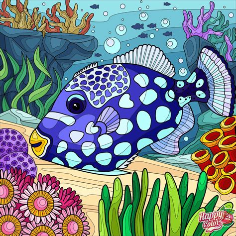 Image result for Fish Fin Patterns