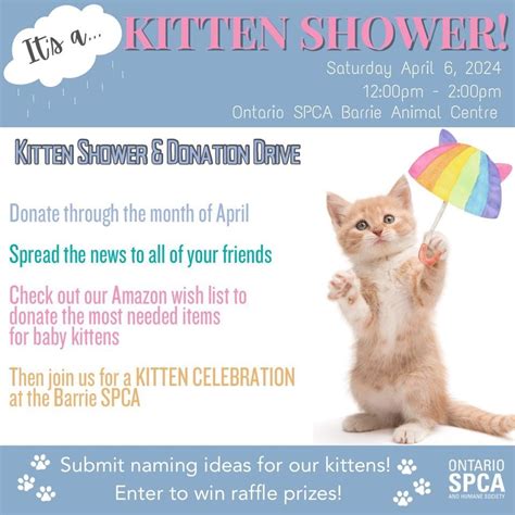 Barrie SPCA Kitten Shower, Ontario SPCA Barrie Animal Centre, 6 April ...