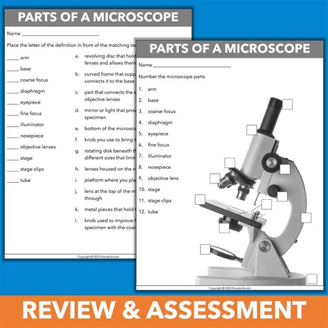 Image result for How To Use A Microscope For Elementary Students