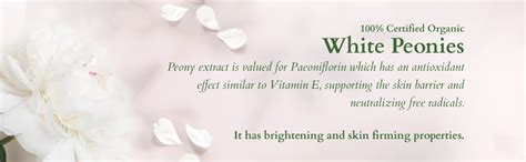 Lotus Organics+ Precious Brightening Cream | For Dark Spots, Blemishes ...