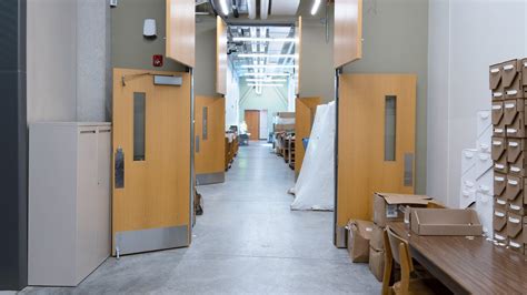 Using Muse Depository 的图像结果