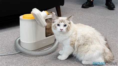 PalFur Pet Grooming Vacuum Kit Review: The best dog grooming kits of ...