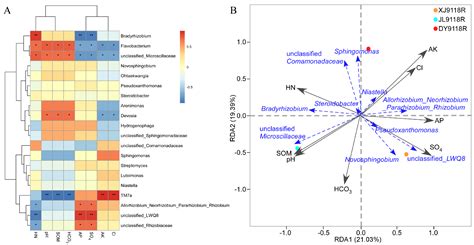 Niche and Geographic Drivers Shape the Diversity and Composition of ...