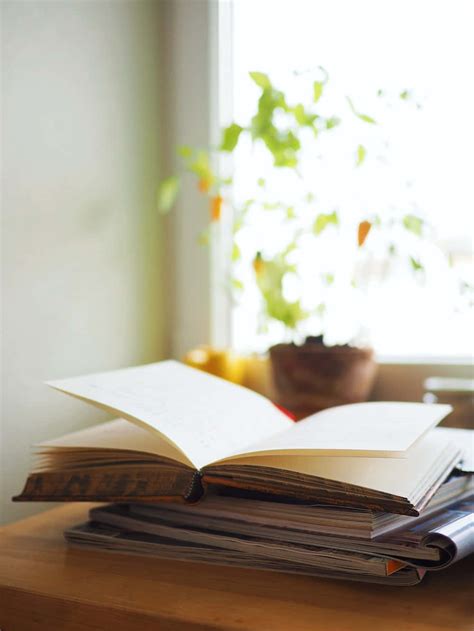 Image result for Book Report Introduction Examples
