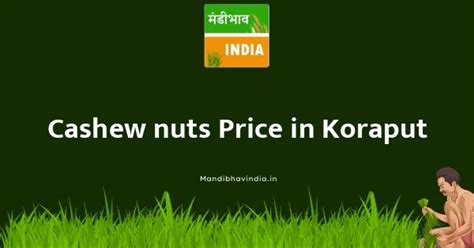 Cashew nuts Market Price In Koraput District Today