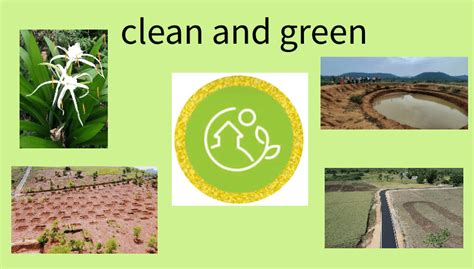 சுத்தமான மற்றும் பசுமையான கிராம ஊராட்சி Clean and green village