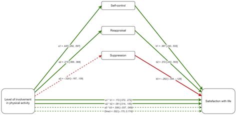 Regular Physical Activity and Life Satisfaction: Unpacking the Roles of ...