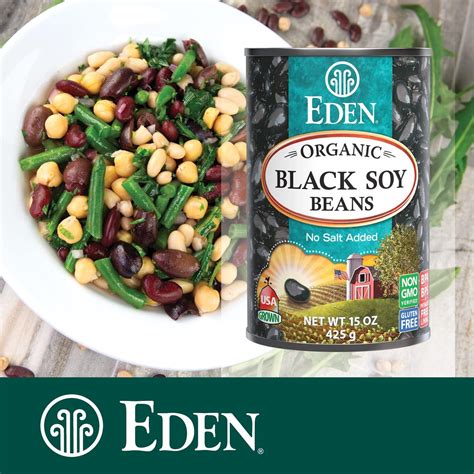Eden Organic Black Soybeans 15 oz Can (12-Pack) - Complete Protein, No ...