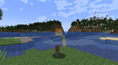 Image result for Minecraft Body Modification Mod