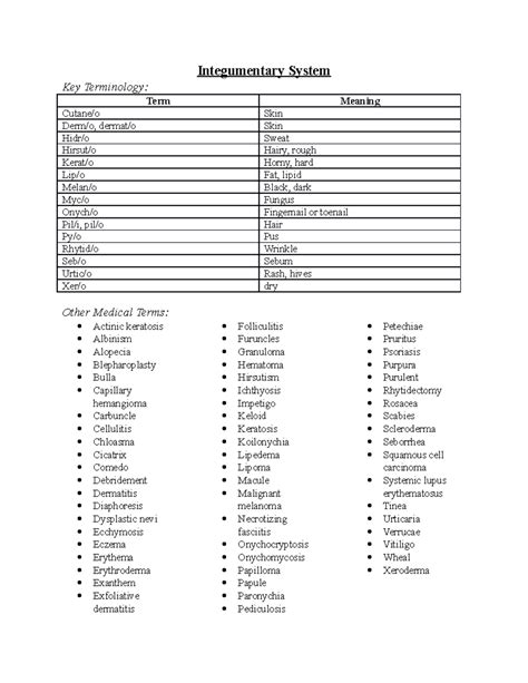 Integumentary System Notes - Integumentary System Key Terminology: Term ...