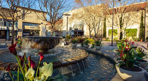 Beautiful rentals in Walnut Creek, CA | The Rise Walnut Creek