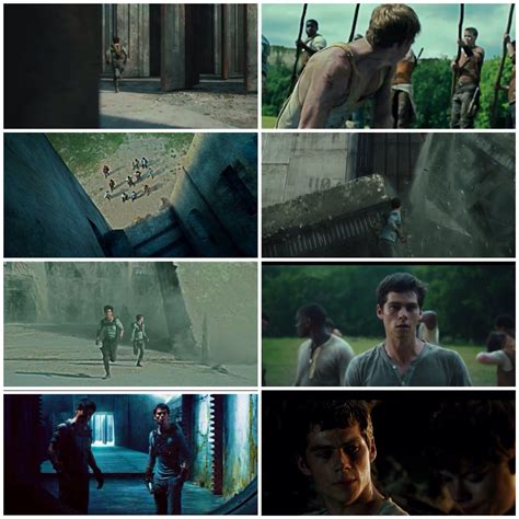 The Maze Runner Thomas, Teresa, Gally, Newt, Alby, Minho, Chuck, Fry ...