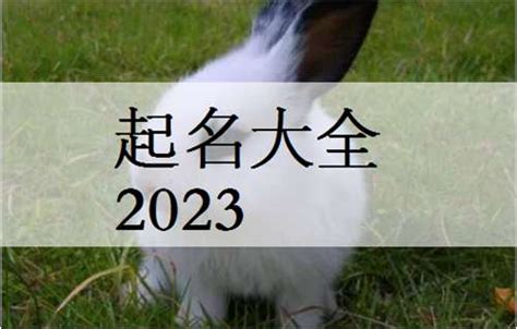 2023兔宝宝起名大全_兔宝宝名字大全_属兔男宝宝起名_属兔女宝宝取名 - 太极鱼起名测试网