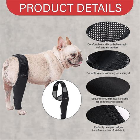 Dog Knee Brace,dog Leg Brace Hip Support Brace For Cruciate Ligament Injuries, Ccl, Patella ...