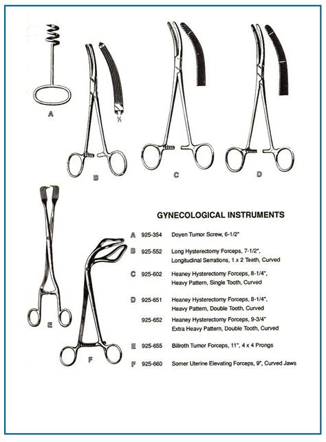 Zeppelin Vs Heaney Clamp at Ina Peterson blog