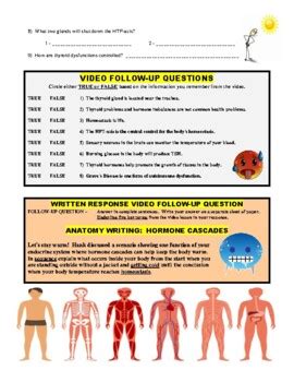 Endocrine System Crash Course 的图像结果
