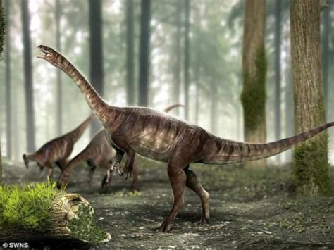 1亿年前的恐龙竟然生活在地下 - 知乎