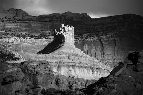 Tamron 70-300mm f/4.5-6.3 Sample Images & RAWs