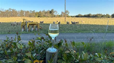 THE ASTON MOTEL TAMWORTH (Nemingha) - Hotel Reviews, Photos, Rate ...