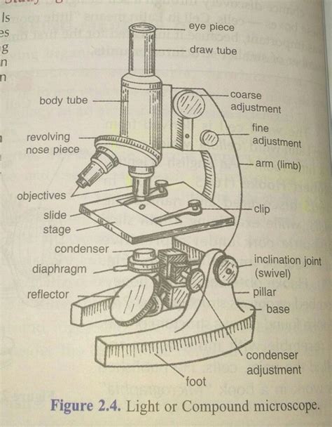 Image result for Microscope Basic Drawing