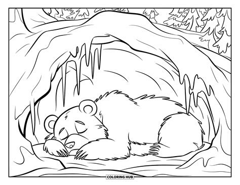 70+ Hibernating Animals Coloring Pages for Kids & Adults (Free Printable PDFs)
