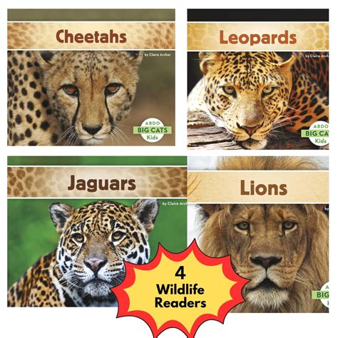 Wild Cats Beginner's Reading Bundle: Explore The World of Cats, Lions ...