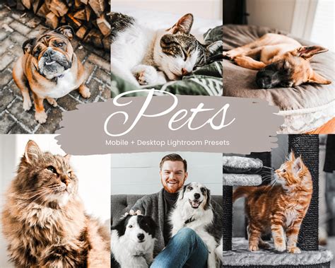 50+ Pets Lightroom Presets Bundle, Dog Presets, Cat Presets, Mobile ...