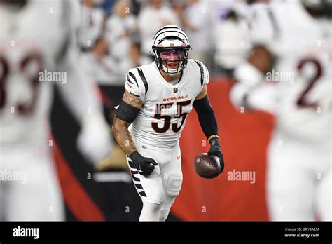 Cowboys release former Bengals linebacker Logan Wilson