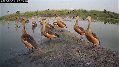 Image result for Example of Python Easy Algorithm
