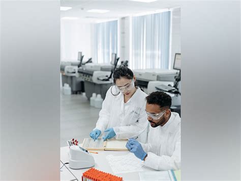 Study reveals how natural killer immune cells can change tissue ...