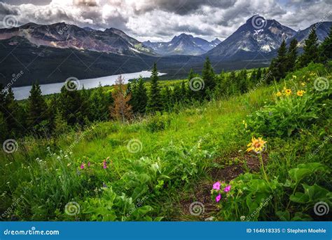 Scenic Views of Two Medicine Lake, Glacier National Park Stock Image ...