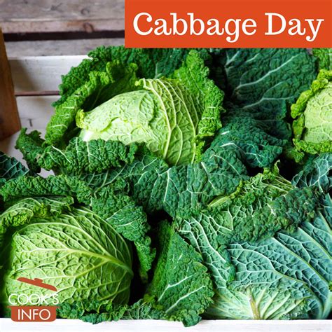 Cabbage Day - CooksInfo
