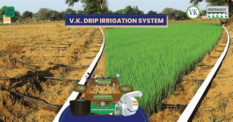 VK Drip Irrigation System – Save 70% Water, Boost Yield | VK Pack Well ...