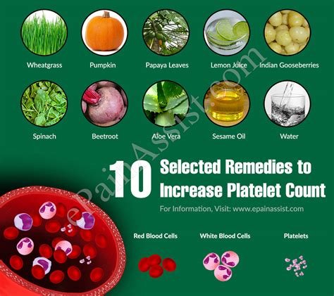 10 Selected Remedies to Increase Platelet Count