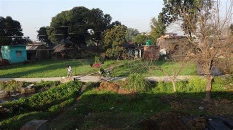 Know About Doiwala, Tourist Places in Doiwala, Doiwala Town