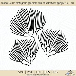 Buy Ohia Lehua Line Art SVG - Ohia Lehua SVG - Lehua Flower SVG ...