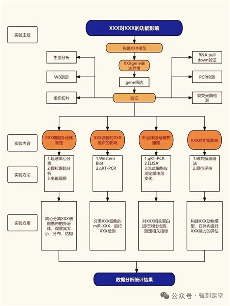 Image result for Matplotlib Vector