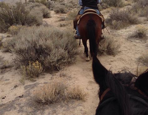 RANCHO RED ROCK (2026) All You Need to Know BEFORE You Go (with Photos ...