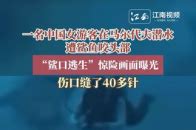 女子潜水被鲨鱼咬伤后遭网暴最新素材