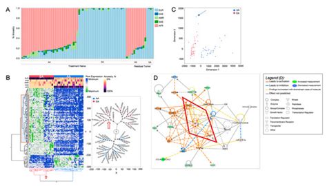 Identification of Distinct Heterogenic Subtypes and Molecular ...