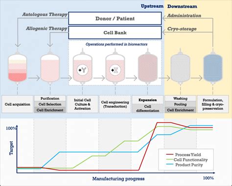 Cell Therapy Process 的图像结果