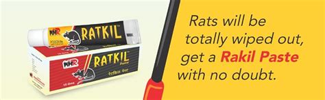 MMR Making Marvelous Rat Kill Paste Rat Killer for Home Rodent Control ...