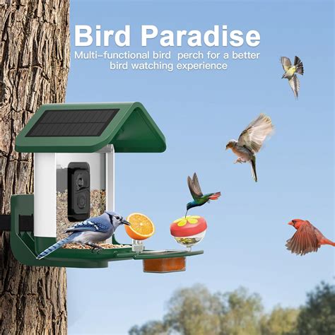 Bird Feeder with Camera Solar Powered: Onlyfly Smart India | Ubuy