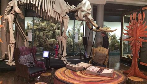 KWAZULU-NATAL MUSEUM (2026) All You Need to Know BEFORE You Go (with ...