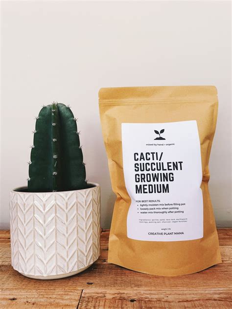 CACTI/SUCCULENT Soil Mix - Houseplant Growing Medium - 3 LB / 2 Gallon ...