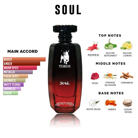 Toros Soul Perfume – Warm Woody & Amber Extrait de Parfum (100ml ...