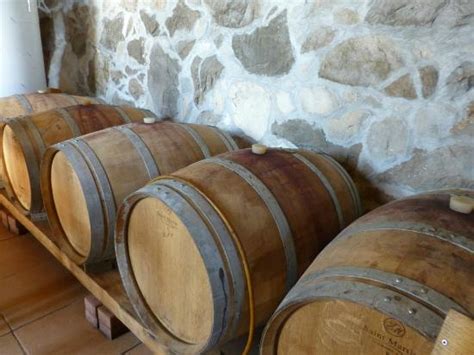 Wine Tours Croatia (Split) - 2022 What to Know Before You Go (with ...