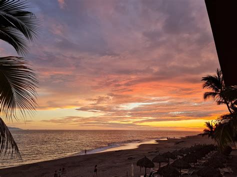 PUERTO VALLARTA TOURS AND CONCIERGE - All You Need to Know BEFORE You ...
