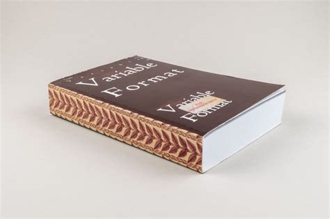 Image result for Variable Example Book