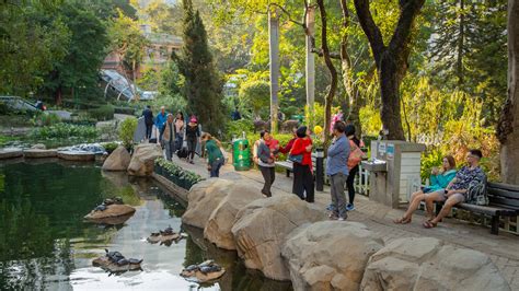 25 Tourist Places in Hong Kong: Famous Places & Tourist Attractions